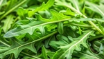 Rukola udržuje zdravá, čistá a průchozí střeva