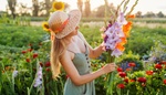 Výsadbu gladiolů stíháte: Poradíme, jak urychlit klíčení hlíz a k čemu se využíjí bruty
