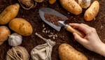 Je čas zasadit brambory jako hlavní plodinu