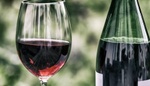 Festival valtických vinařů: Oslava vína s tradicí i šarmem