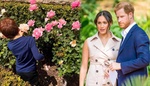 Pyšná Meghan Markle ukázala Archieho a Lilibet: Obě děti jsou celý tatínek Harry