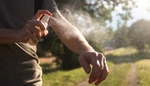 Na klíšťata přírodní cestou: Vypěstujte si rostliny, které vás spolehlivě ochrání