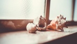 Snadný trik, jak mít čistý parapet. Během chvíle zazáří čistotou a bude jako nový