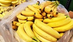Banány budou v létě dražší než kuře. Obchodníci už znají důvod, ale mlčí