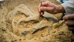 Záhadná odolnost střední Evropy: Proč zde lidé přežívali, když jinde ubývali