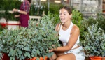 Nádherně voní a je častou součástí dekorací: Eukalyptus si s trochou šikovnosti vypěstujete i na zahradě