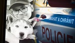 Policie pátrá po třináctiletém Maxovi. Nevrátil se ze školy, nezvěstný je už několik dní