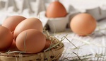 Návrat chuti dětství. Starý recept znovu dobývá české kuchyně