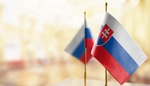 Kvíz: Prověřte, jak jste na tom se slovenštinou. Zapomněli jste hodně, nebo s přehledem víte, jak se řekne květák či řasy?